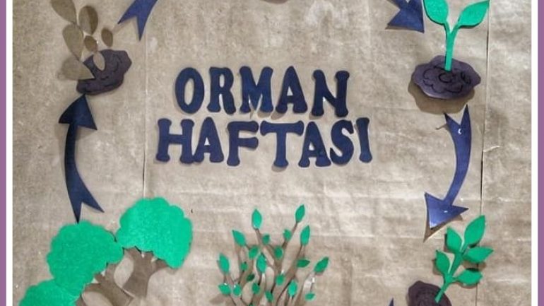 Ağaçların Büyüme Macerası