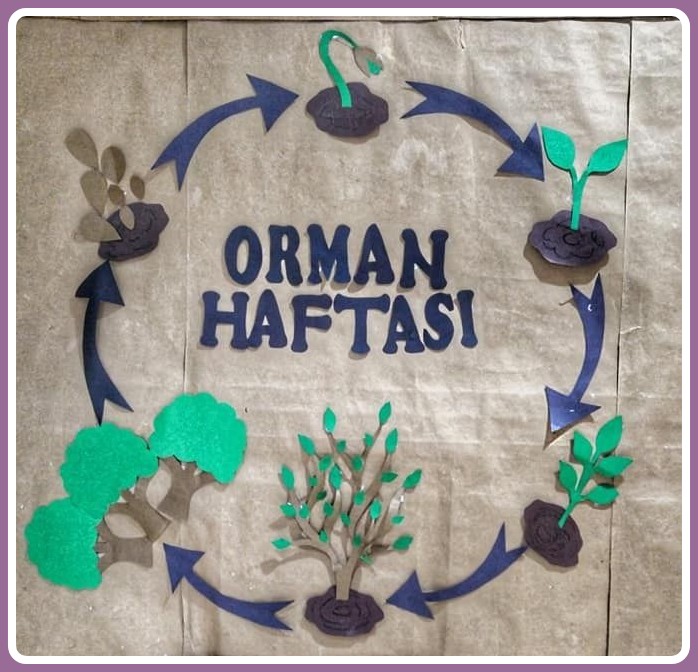 Ağaçların Büyüme Macerası