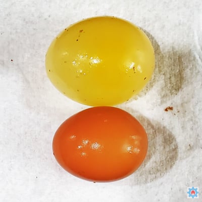İki yumurta bir havlunun üzerinde duruyor.  Biri küçük ve kahverengi.  Diğeri ise büyük olup kabuğu yoktur.  Bu sarı.